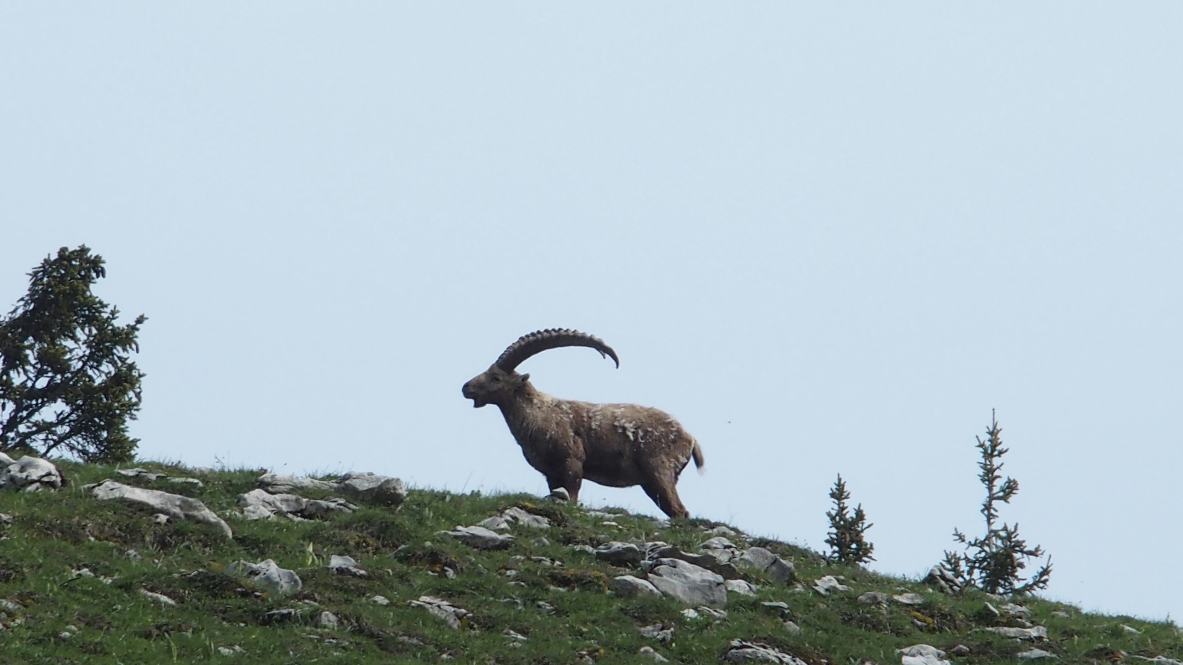 Rando au plateau des Glières